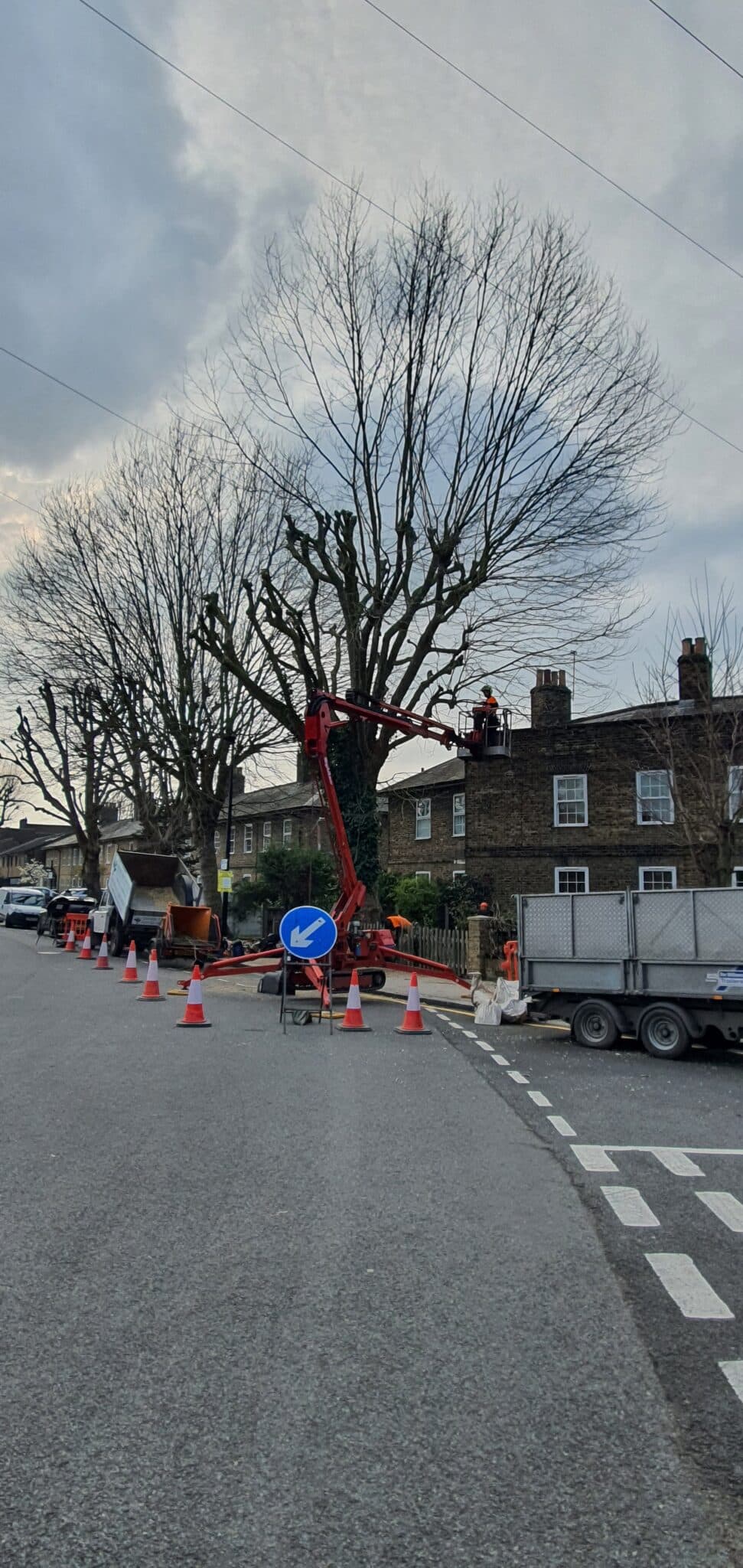 20240307_142148 Workers using a cherry picker trim large trees beside a residential street lined with brick houses. Traffic cones, a trailer, and a blue directional road sign are visible in the foreground.