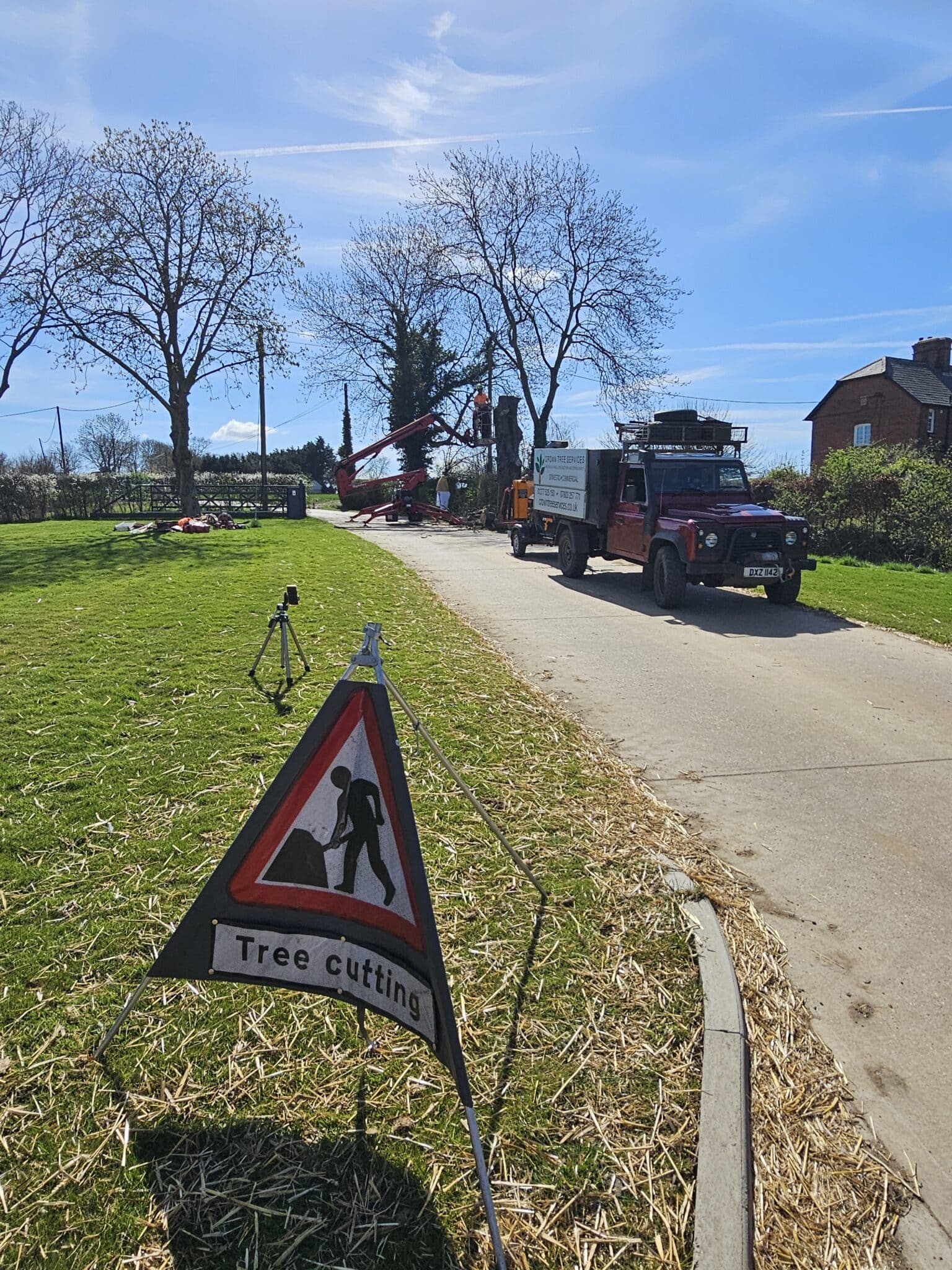 20250331_122508 A triangular "Tree cutting" warning sign is placed on a grassy verge beside a rural road, where vehicles and tree cutting equipment are visible. Workers are present under tall trees with some branches already removed.