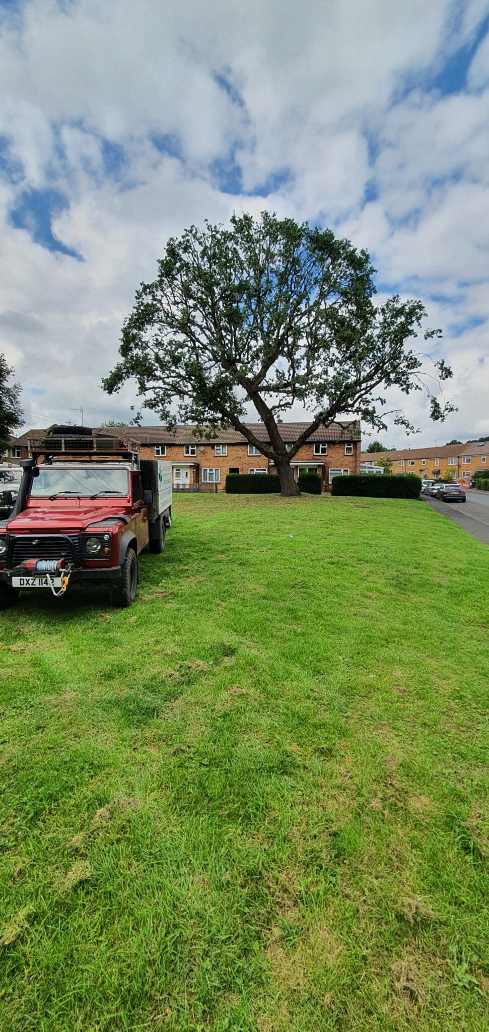 crown-thinning-crown-tree-services A red utility vehicle is parked on a grassy area near a large, leafy tree. Brick houses with brown roofs can be seen in the background under a partly cloudy sky.