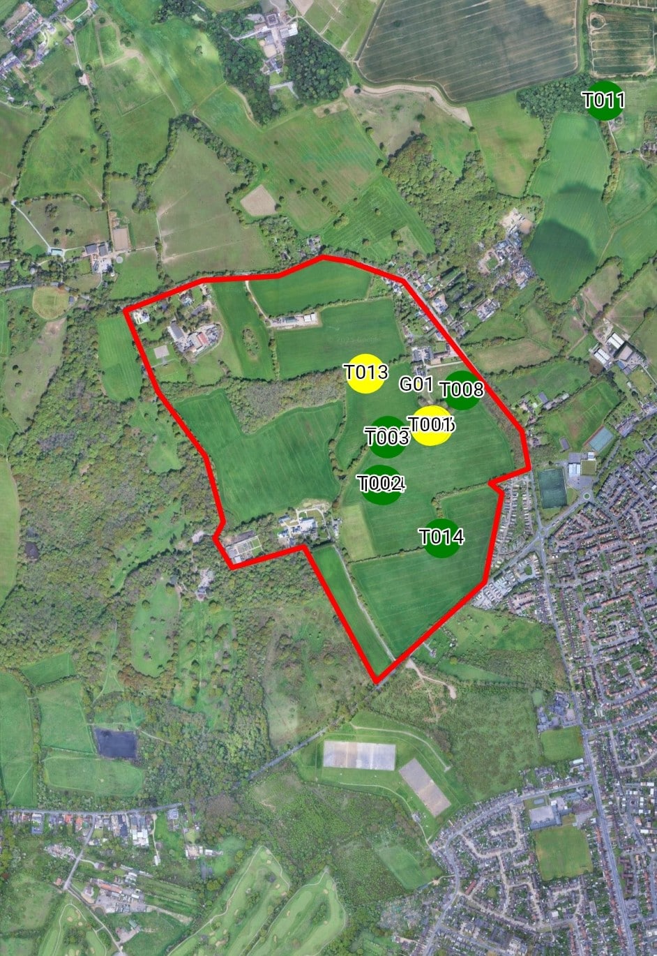 tree-surveys-crown-tree-services BS 5837 tree survey report Essex - Crown Tree Services