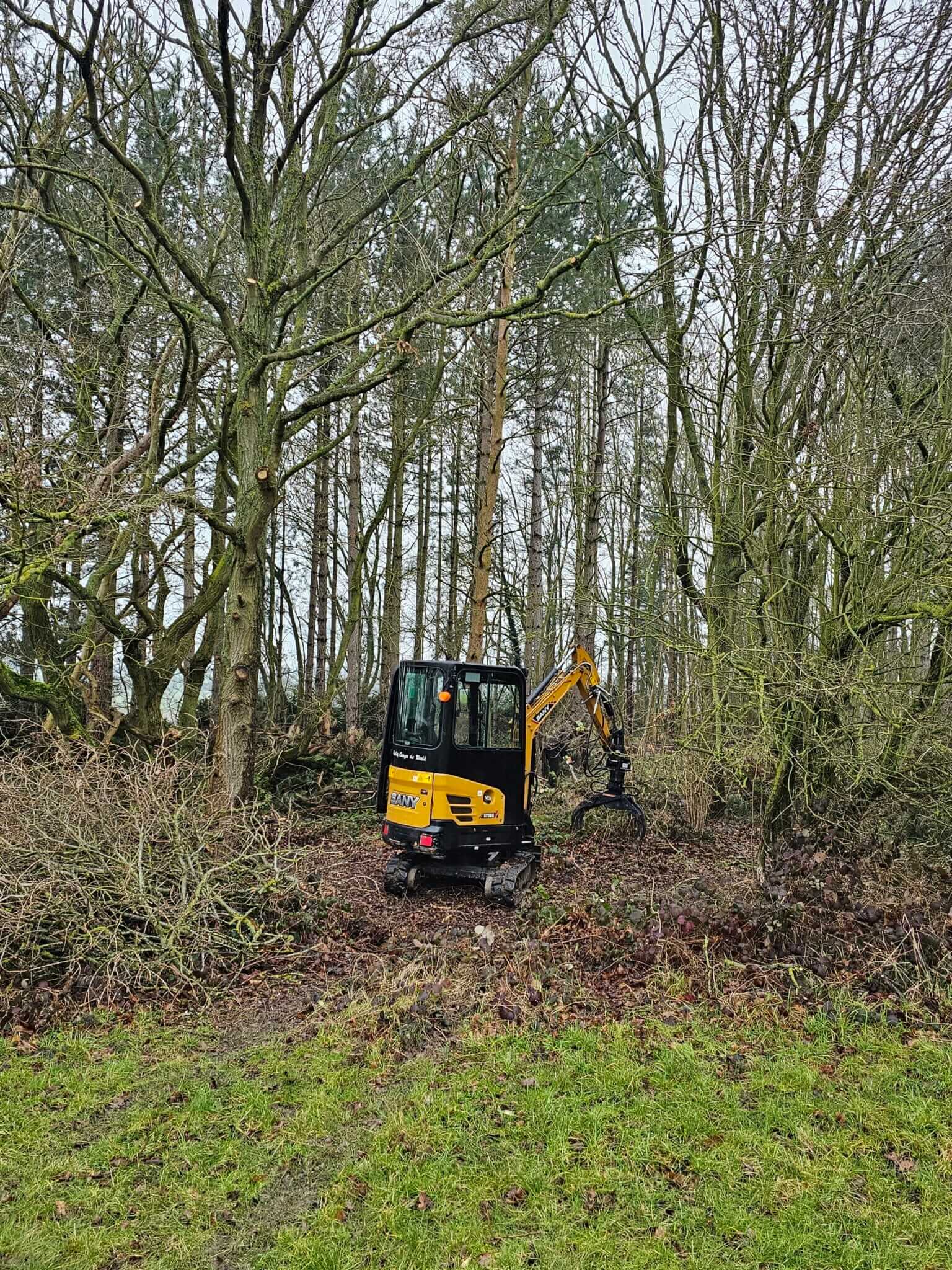 crown-tree-services-image-scaled A small yellow digger is parked among tall, leafless trees and dense undergrowth in a forested area, with green grass in the foreground.
