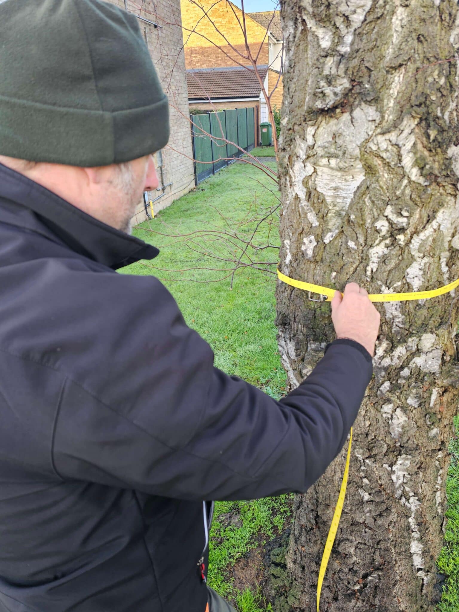 A man measuring a tree.