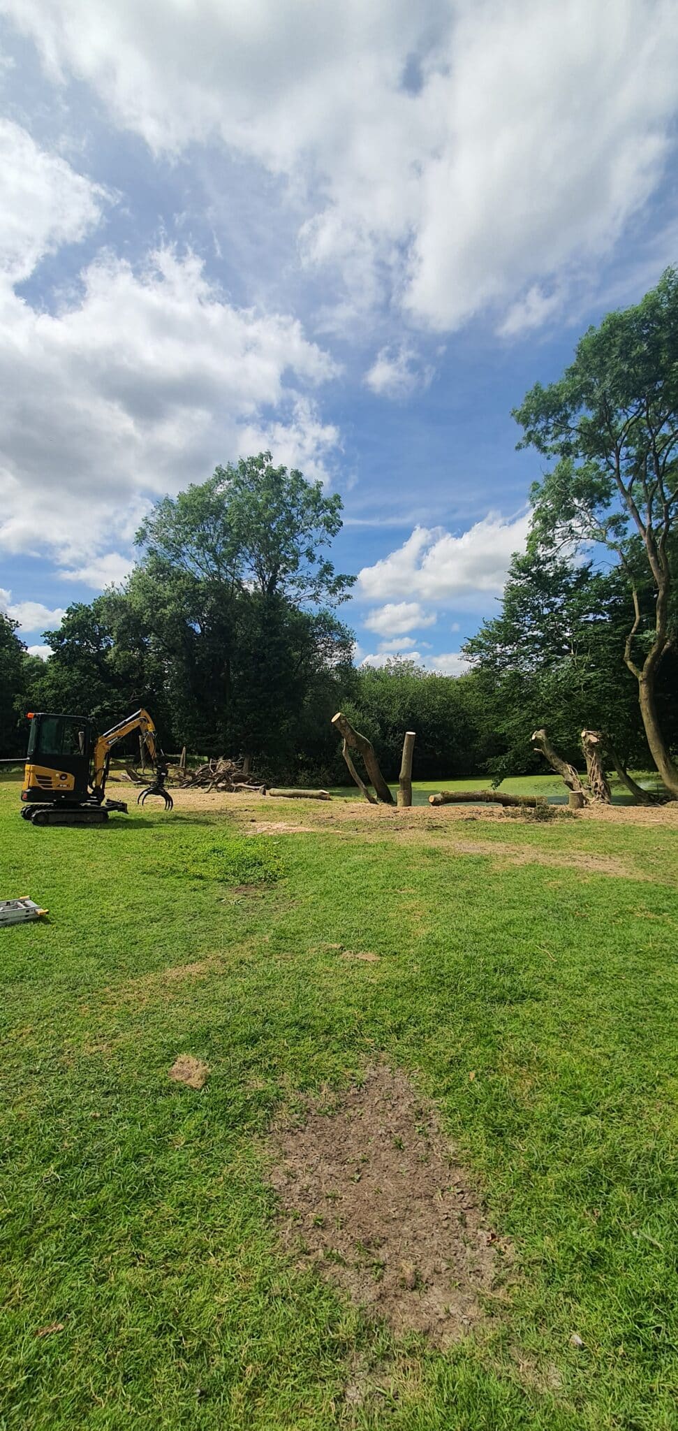 A grassy field with a small yellow digger on the left, fallen tree trunks in the centre, and tall green trees in the background under a partly cloudy blue sky.