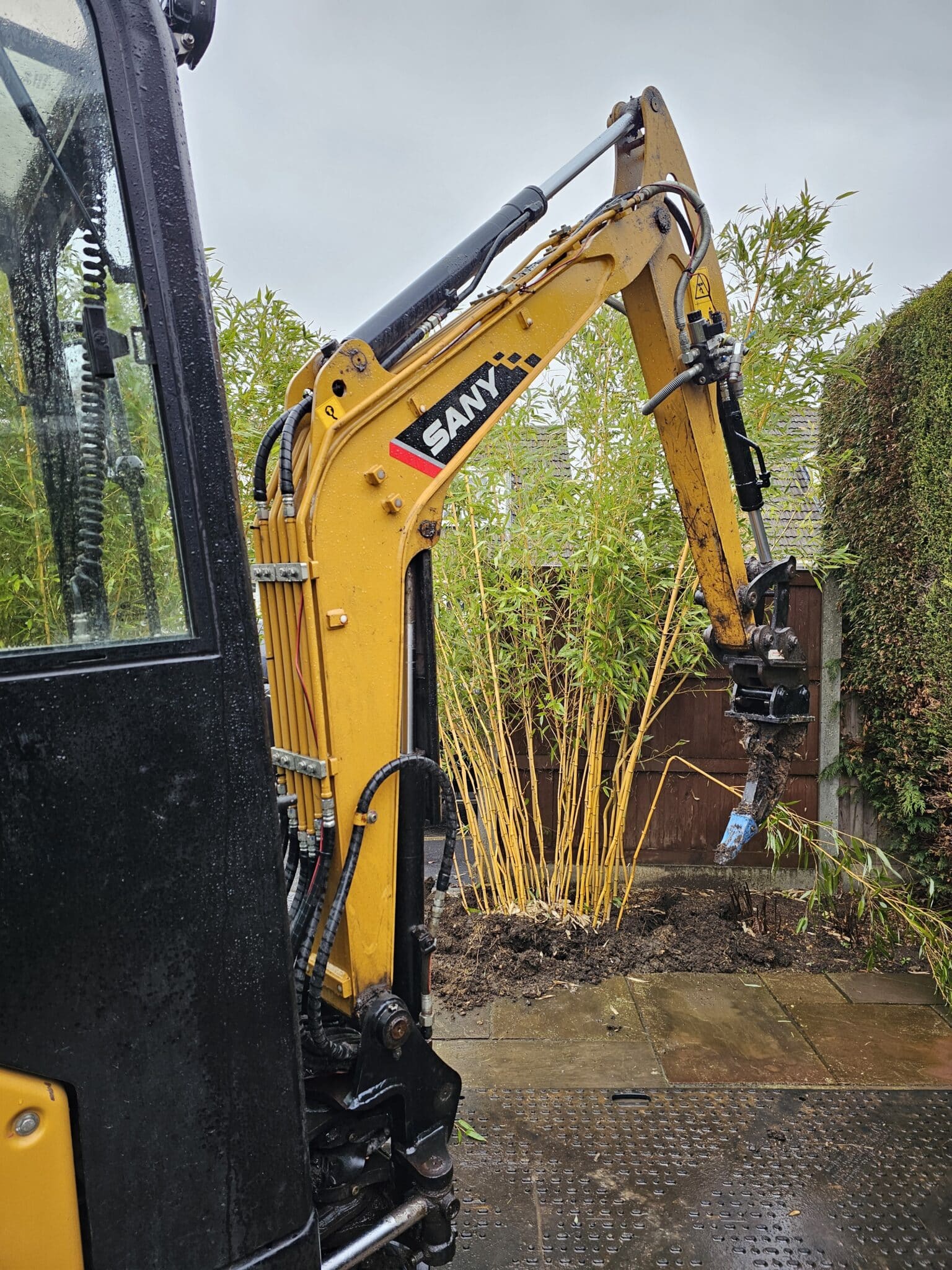 20260121_100518 A yellow SANY excavator arm is extended towards a cluster of tall bamboo plants near a wet concrete surface and a wooden fence on a cloudy day.