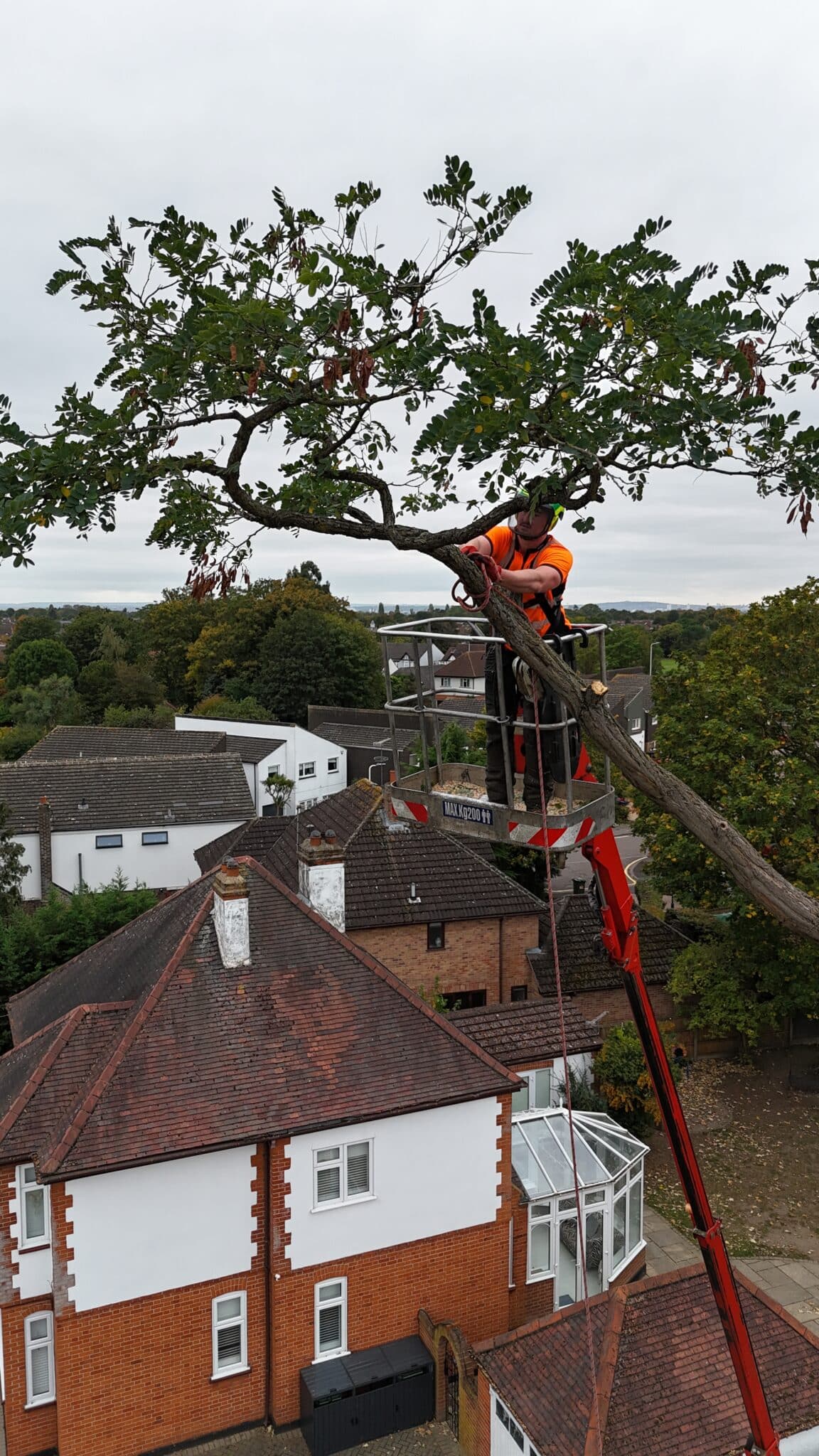 default A worker in an orange safety vest trims a tall tree using a chainsaw whilst standing on a raised cherry picker above residential houses.