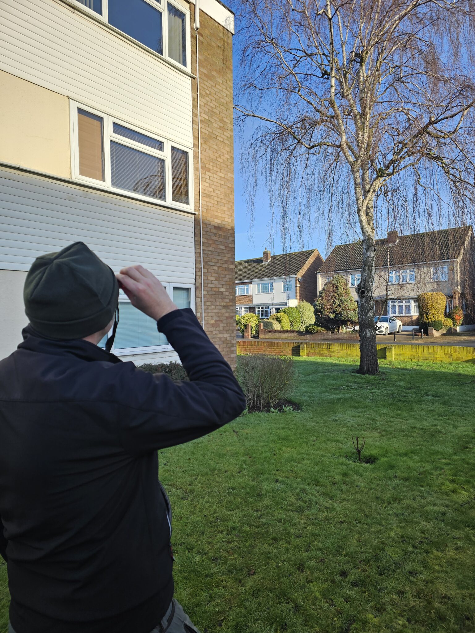 A person wearing a dark jacket and hat stands on a grassy lawn, looking up at a tall tree in front of a block of flats on a bright, sunny day. Houses and shrubs are visible in the background.